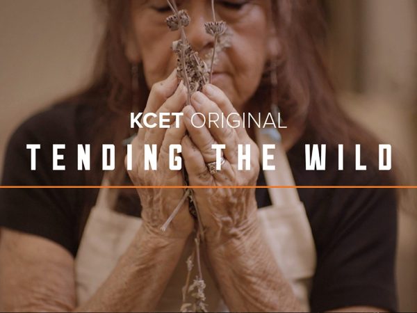 Resources - Climate Justice - ECO-UNESCO - Environmental Youth Organisation