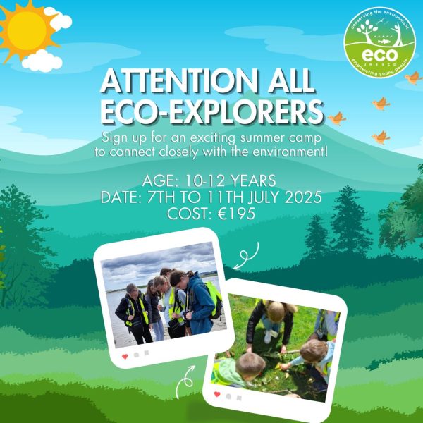 ECO-Explorers Summer Camp
