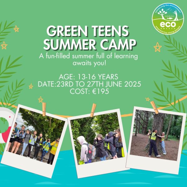 Green Teens Summer Camp