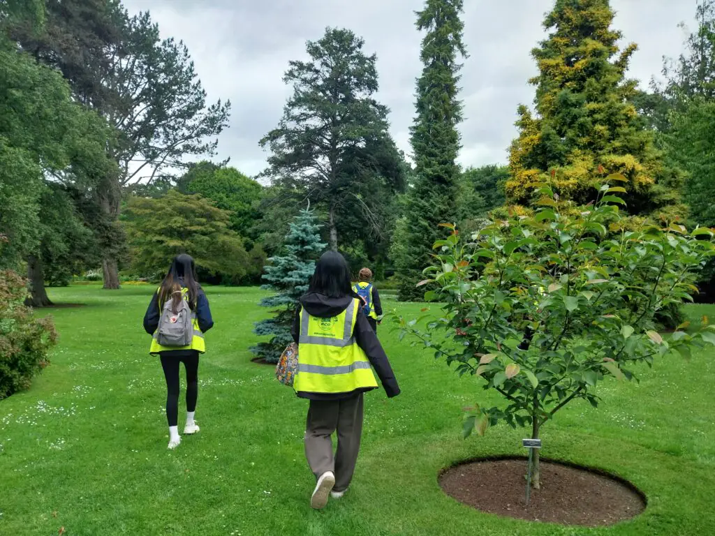 young people outdoors