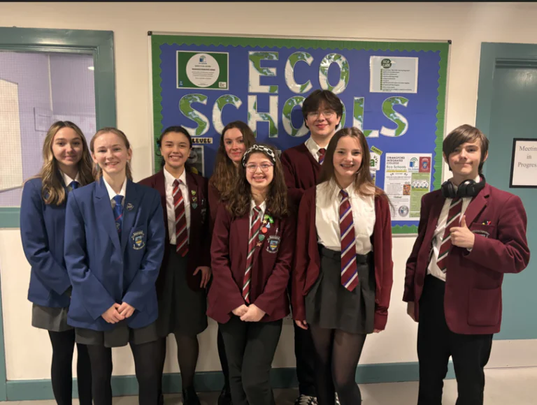 Waste to Wonders, Down, Strangford Integrated College