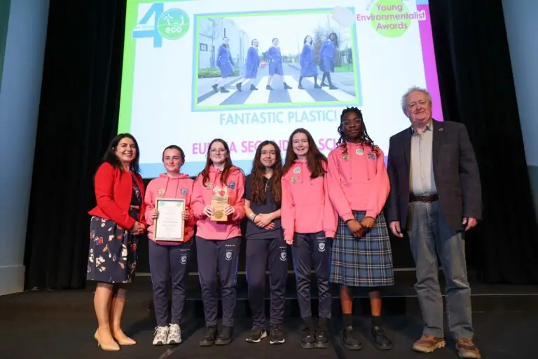 Meath, Junior ECO-Art & Design Award, Fantastic Plastics, Eureka Secondary School
