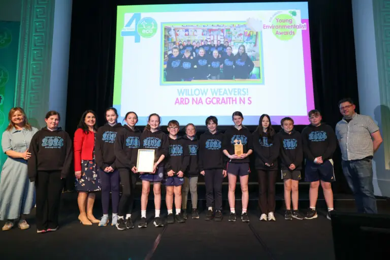 Westmeath, Further Growth Award, Willow Weavers, Ard Na gCraith N S