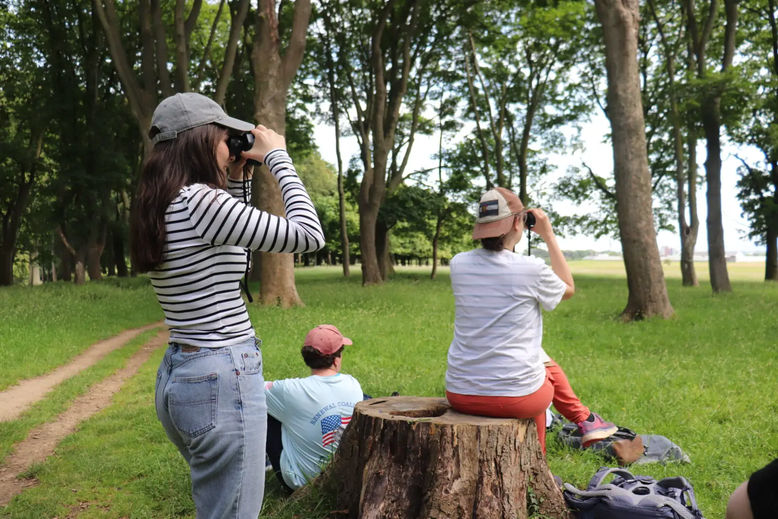 ecology and the environment qqi course eco-unesco